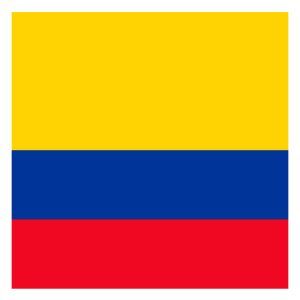 Palermo Bandera Colombia 60x90 Estampada