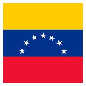 Palermo Bandera Venezuela 60x90 Estampada