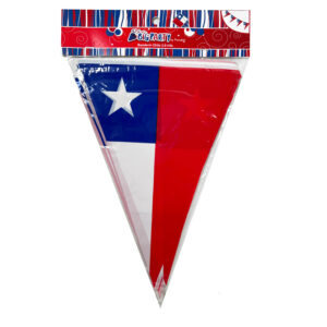 Banderín Plástico 22x29 cm 3,6 mts - Big Party