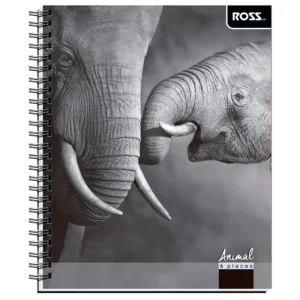 Cuaderno Universitario 100 Hojas 7mm / Elefantes - Ross