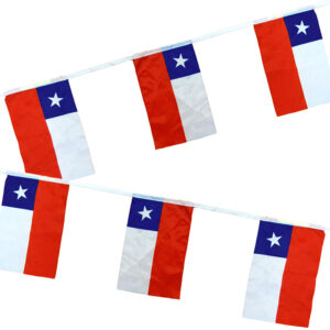 Guirnalda Bandera Chilena de Género 9 unid. en 3 Mts. - Big Party