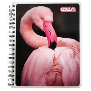 Cuaderno Universitario Liso Basic 7mm 100Hojas / Flamenco - Colón
