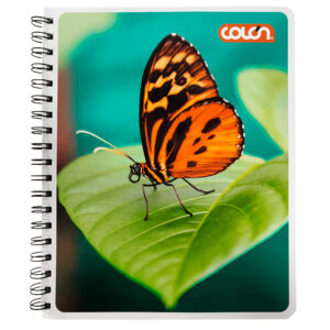 Cuaderno Universitario Liso Basic 7mm 100Hojas / Mariposa - Colón